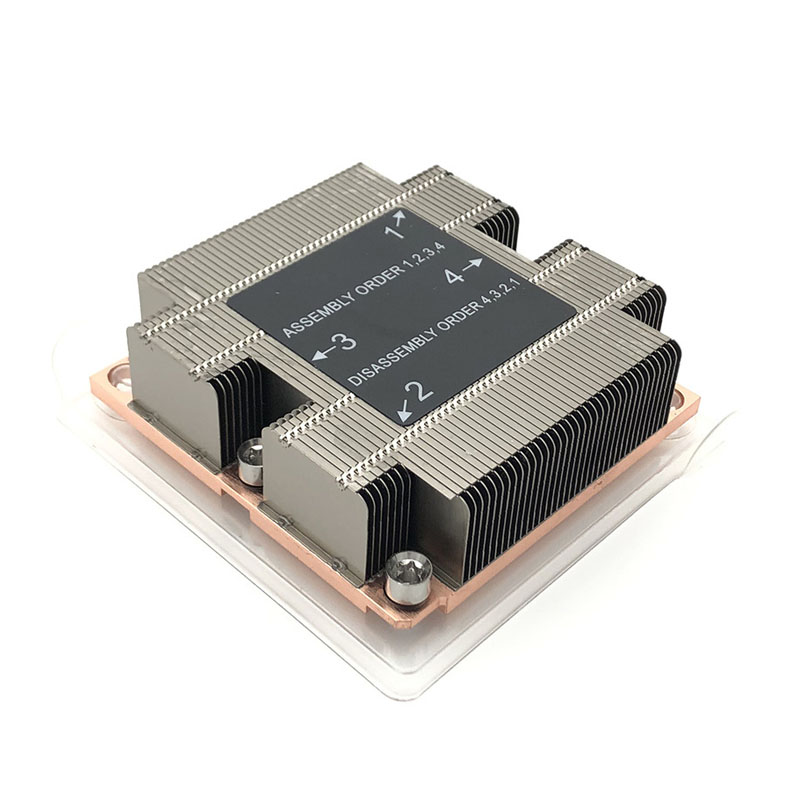 Small computing power server air-cooled radiator module
